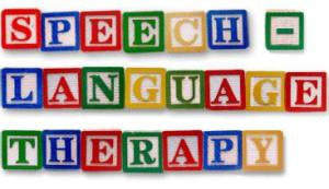 speech-language-therapy blocks
